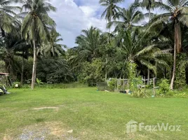 ขายที่ดิน ใน อ่าวนาง, กระบี่, อ่าวนาง