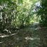  Land for sale in Maret, Koh Samui, Maret