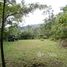  Land for sale in Costa Rica, Mora, San Jose, Costa Rica