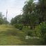  Terrain for sale in Limon, Pococi, Limon