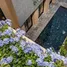 6 Schlafzimmer Haus zu vermieten in Hoa Quy, Da Nang, Hoa Quy, Ngu Hanh Son, Da Nang, Vietnam