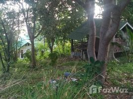  Земельный участок for sale in Сураттани, Ko Pha-Ngan, Ko Pha-Ngan, Сураттани