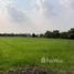  Земельный участок for sale in Kamphaeng Saen, Nakhon Pathom, Kamphaeng Saen, Kamphaeng Saen