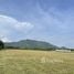  Terreno (Parcela) en venta en Hin Lek Fai, Hua Hin, Hin Lek Fai, Hua Hin, Prachuap Khiri Khan, Tailandia