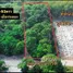 Land for sale in Thung Khwai Kin, Rayong, Thung Khwai Kin, Klaeng