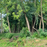  Terreno (Parcela) en venta en Parkridge estate , Antipolo City