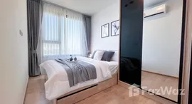 ยูนิตมือสองและให้เช่า