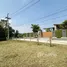  Land for sale in Huai Sai, Chiang Mai, Huai Sai, Mae Rim