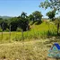  Grundstück zu verkaufen in Guananico, Puerto Plata, Guananico, Puerto Plata, Dominikanische Republik