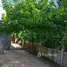 2 Bedroom Warehouse for sale in Bang Muang, Nonthaburi, Bang Muang, Bang Yai, Nonthaburi