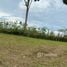  Land for sale in Phangnga, Lo Yung, Takua Thung, Phangnga