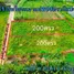  Land for sale in Phe, Rayong, Phe, Mueang Rayong, Rayong, Thailand