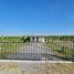 Земельный участок for sale in Kratip, Nakhon Pathom, Kratip, Kamphaeng Saen