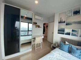 2 спален Кондо в аренду в The Tree Sukhumvit 71-Ekamai, Suan Luang