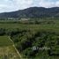  Terrain for sale in Ko Kaeo, Phuket Town, Ko Kaeo