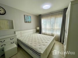 Studio Condo for rent at Coo Condo Phitsanulok, Nai Mueang, Mueang Phitsanulok, Phitsanulok, Thailand