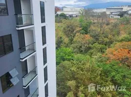 2 Schlafzimmer Appartement zu vermieten im La Sabana, San Jose, San Jose, Costa Rica