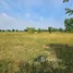 ขายที่ดิน ใน ลำสนธิ, ลพบุรี, ลำสนธิ, ลำสนธิ, ลพบุรี, ไทย