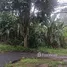 在哥斯达黎加出售的 土地, Naranjo, Alajuela, 哥斯达黎加
