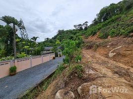 ขายที่ดิน ใน สาคู, ภูเก็ต, สาคู, ถลาง, ภูเก็ต