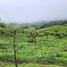  Terreno (Parcela) en venta en Costa Rica, Vasquez De Coronado, San José, Costa Rica