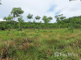 ขายที่ดิน ใน แกลง, ระยอง, แกลง, เมืองระยอง