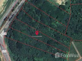  Land for sale in Pran Buri, Prachuap Khiri Khan, Wang Phong, Pran Buri