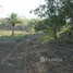 在Guanacaste出售的 土地, Liberia, Guanacaste