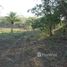  Land for sale in Liberia, Guanacaste, Liberia