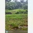  Land for sale in Tak Daet, Chumphon, Tak Daet, Mueang Chumphon