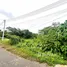  Land for sale in Thep Krasattri, Phuket, Thep Krasattri, Thalang, Phuket, Thailand