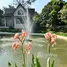 1 Bedroom Condo for rent at Natura Green Residence, Chang Phueak, Mueang Chiang Mai, Chiang Mai, Thailand