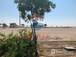  Terreno (Parcela) en venta en Saadiyat Reserve, Saadiyat Island