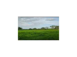  Land for sale in Pivijay, Magdalena, Pivijay, Magdalena, Colombia