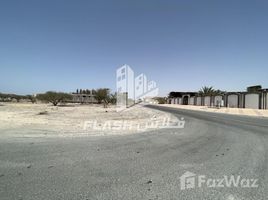 在Al Qusaidat出售的 土地, Al Dhait North
