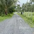 ขายที่ดิน ใน ป่าคลอก, ภูเก็ต, ป่าคลอก, ถลาง, ภูเก็ต