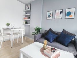 Studio Wohnung zu verkaufen im D Condo Kathu-Patong, Kathu