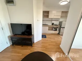 อพาร์ทเม้นท์ 1 ห้องนอน ให้เช่า ในโครงการ ลุมพินี เพลส พระราม 4-กล้วยน้ำไท, พระโขนง