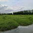  Земельный участок for sale in Ban Phrik, Nakhon Nayok, Ban Phrik, Ban Na, Nakhon Nayok