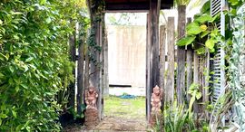 ยูนิตมือสองและให้เช่า