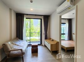 1 Habitación Apartamento en alquiler en Dolce Lasalle, Bang Na, Bang Na, Bangkok