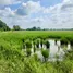 Terrain à vendre à Huai Pa Wai, Saraburi, Huai Pa Wai