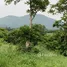  Земельный участок for sale in Wang Sai, Накхон Ратчасима, Wang Sai