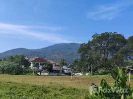 ขายที่ดิน ใน สุเทพ, เชียงใหม่, สุเทพ, เมืองเชียงใหม่, เชียงใหม่