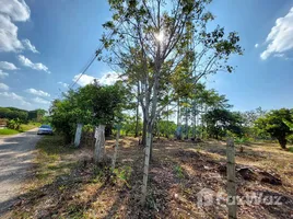  Land for sale in Nong Phueng, Saraphi, Nong Phueng