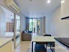 1 Bedroom Condo for sale at Palm Springs Nimman Fountain , Suthep, Mueang Chiang Mai, Chiang Mai