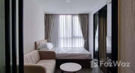 ยูนิตมือสองและให้เช่า