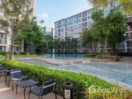 Studio Apartment for rent at D Condo Ping, Fa Ham, Mueang Chiang Mai, Chiang Mai