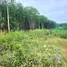  Land for sale in Map Kha, Rayong, Map Kha, Nikhom Phatthana