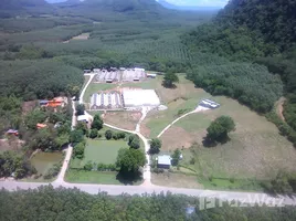  Land for sale in Wang Saphung Loei, Wang Saphung, Wang Saphung, Loei